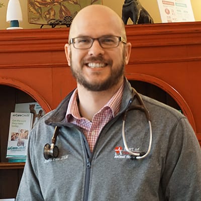 Suwanee Veterinarian